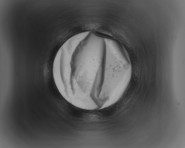 X0000100930743200807151244