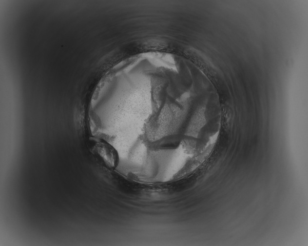 X0000100930745200807151244