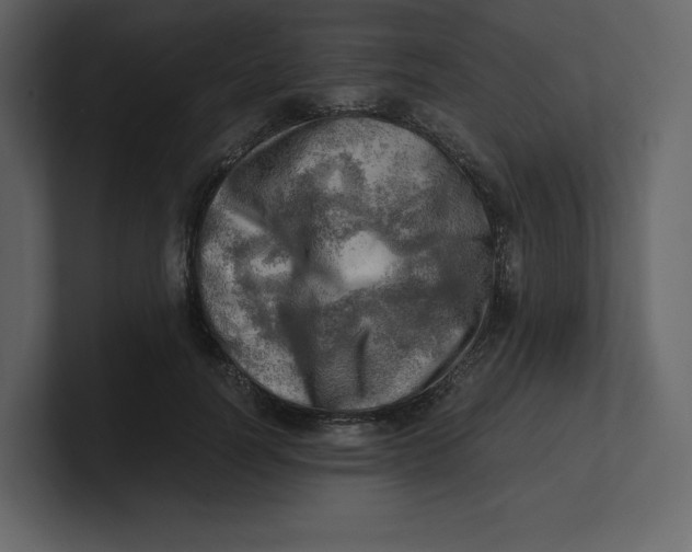 X0000100930746200807151244