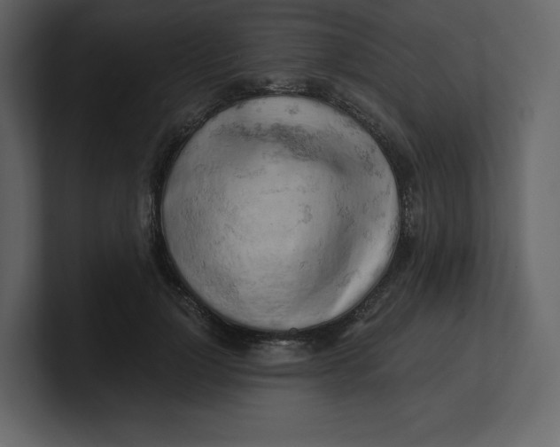 X0000100930748200807151244