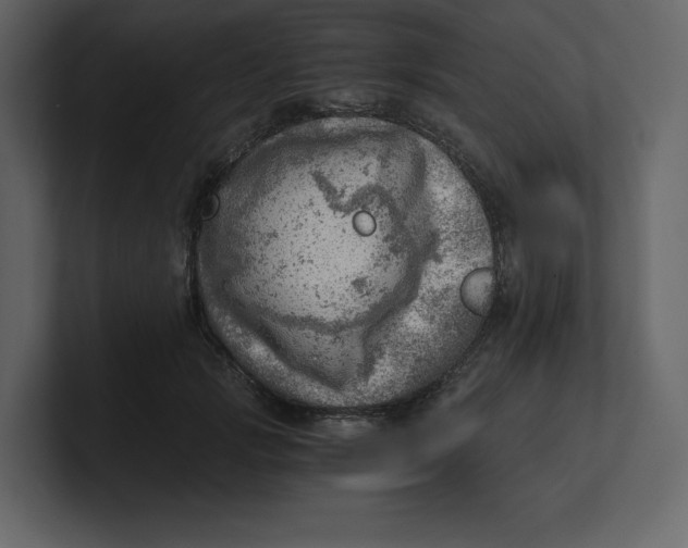 X0000100930749200807151244