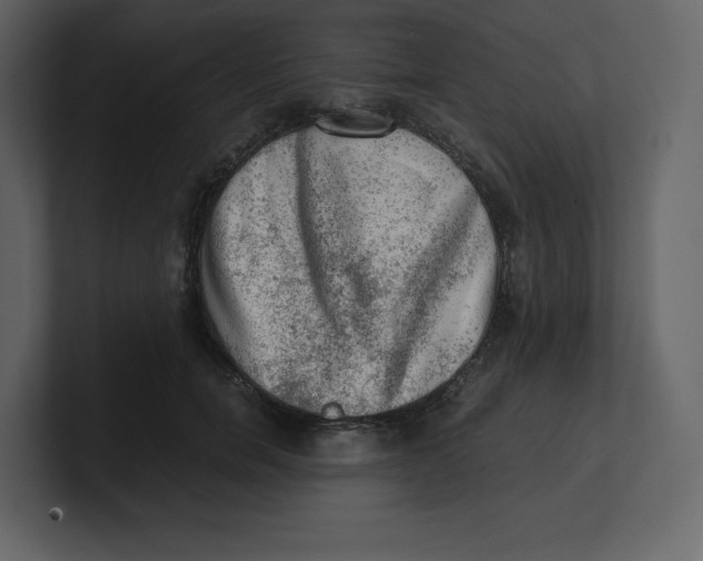 X0000100930750200807151244