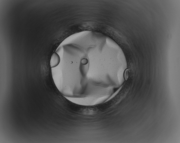 X0000100930751200807151244