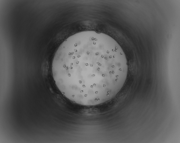 X0000100930752200807151244