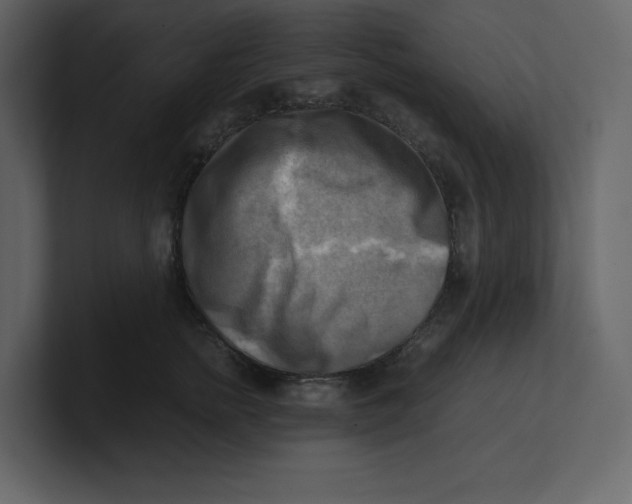 X0000100930758200807151244