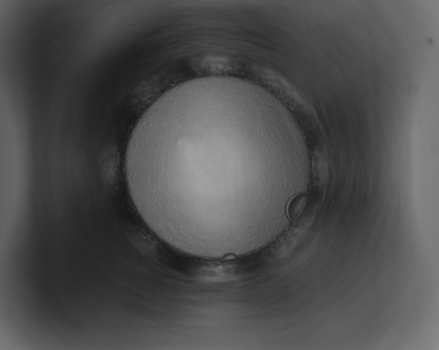 X0000100930760200807151244