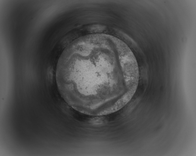 X0000100930761200807151244