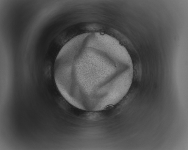 X0000100930762200807151244