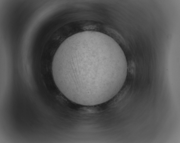 X0000100930763200807151244