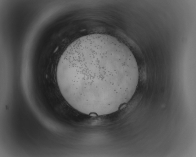 X0000100930764200807151244