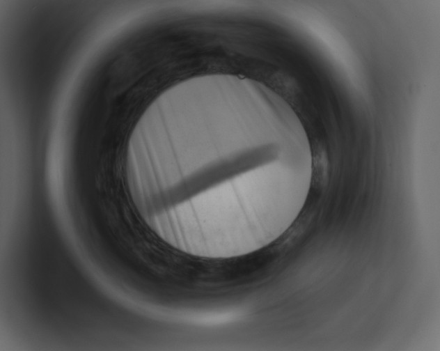 X0000100930765200807151244