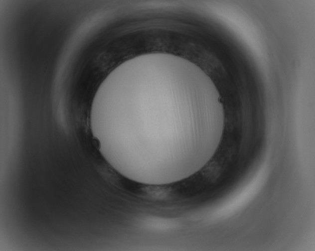 X0000100930766200807151244