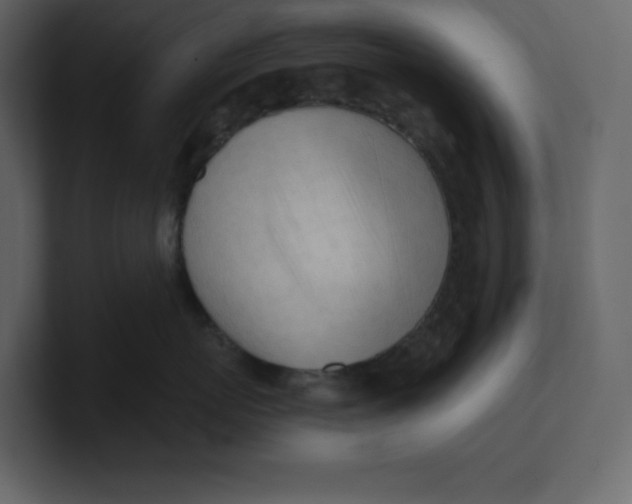 X0000100930767200807151244