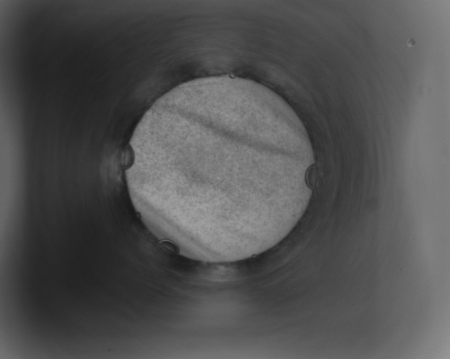 X0000100930768200807151244