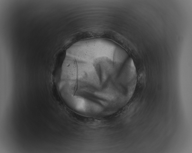 X0000100930772200807151243