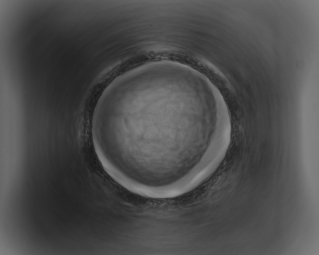 X0000100930775200807151243