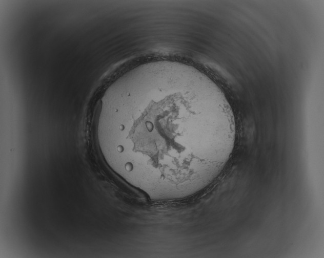 X0000100930776200807151243