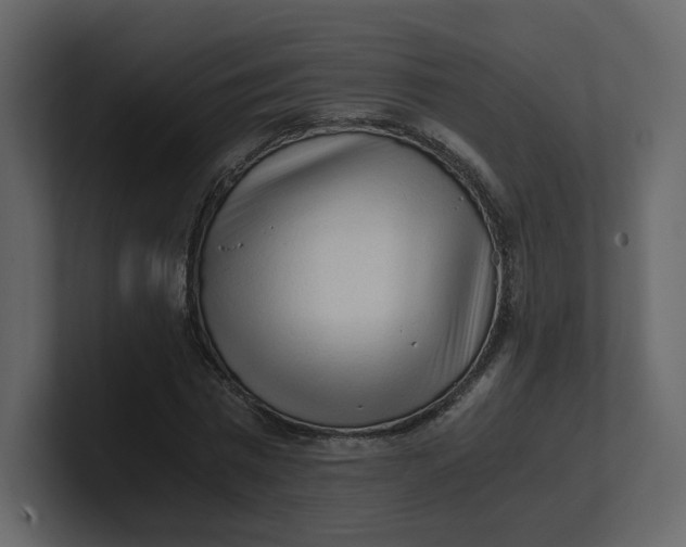 X0000100930777200807151243