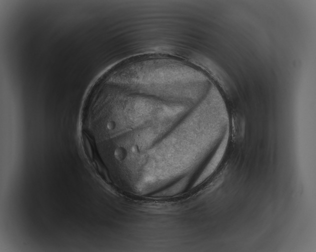 X0000100930780200807151243