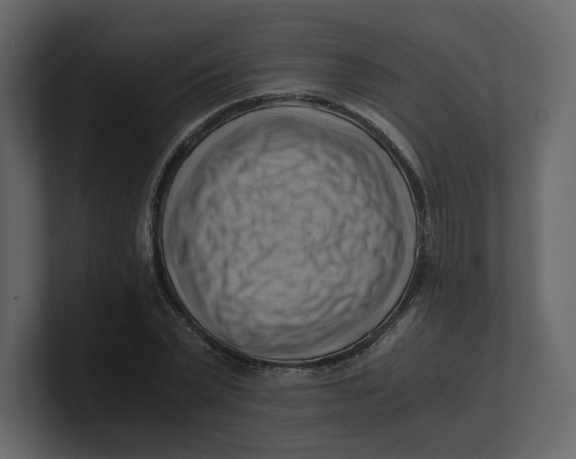 X0000100930783200807151243