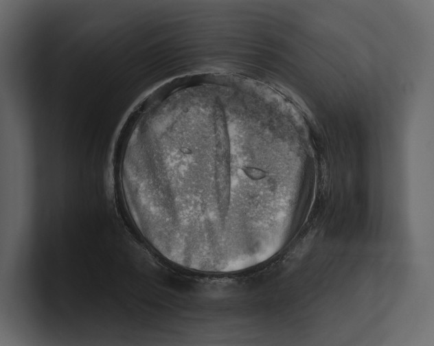 X0000100930784200807151243