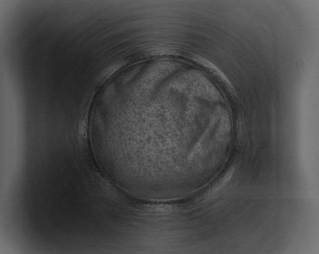 X0000100930785200807151243