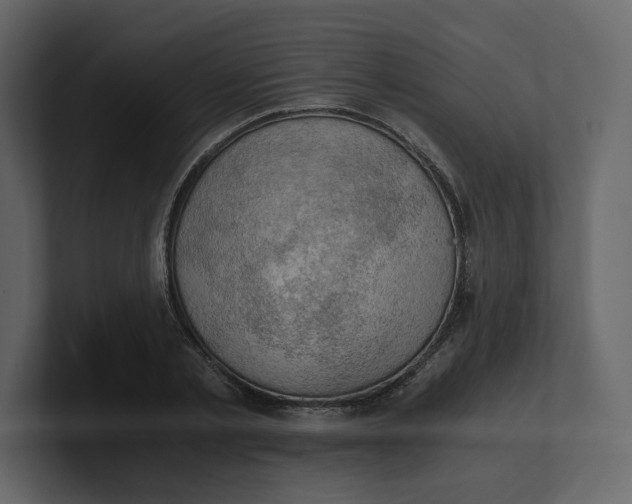 X0000100930789200807151243