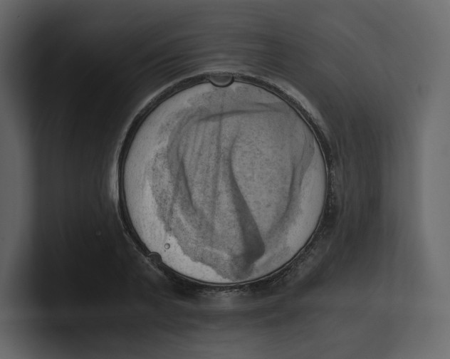 X0000100930791200807151243