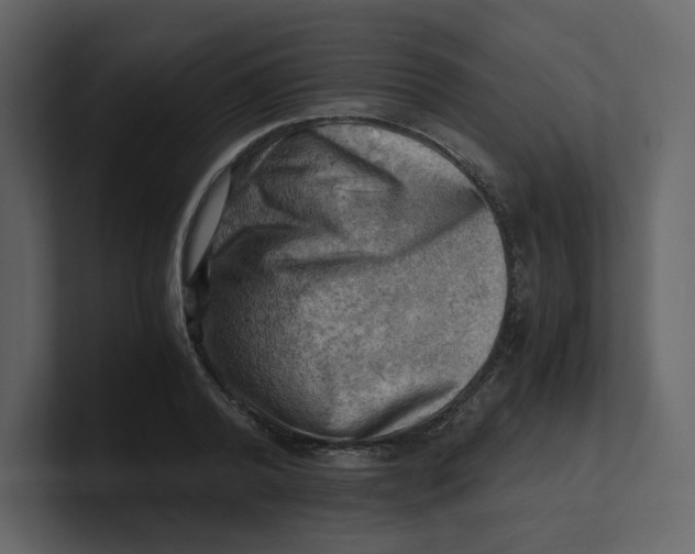 X0000100930792200807151243