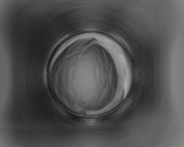 X0000100930798200807151243