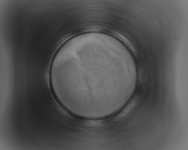 X0000100930802200807151243