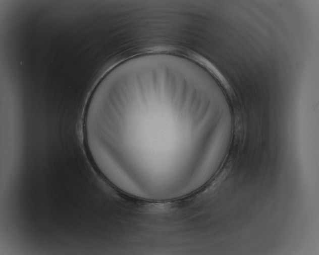 X0000100930810200807151243