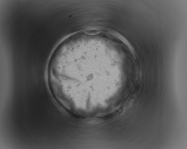 X0000100930811200807151243