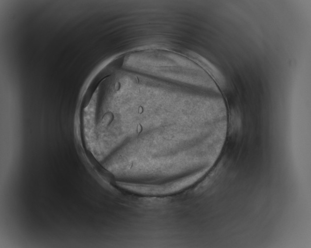 X0000100930812200807151243