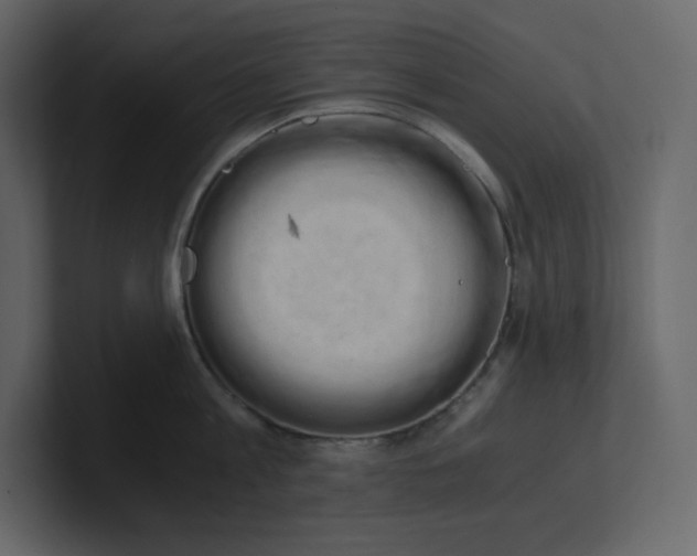 X0000100930813200807151243