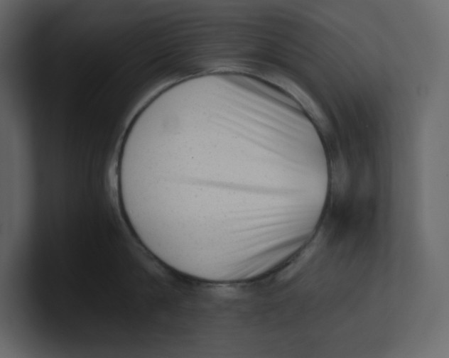 X0000100930814200807151243