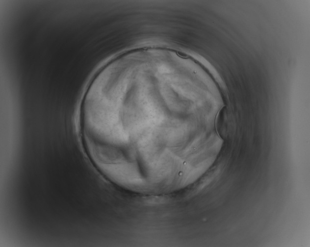 X0000100930815200807151243