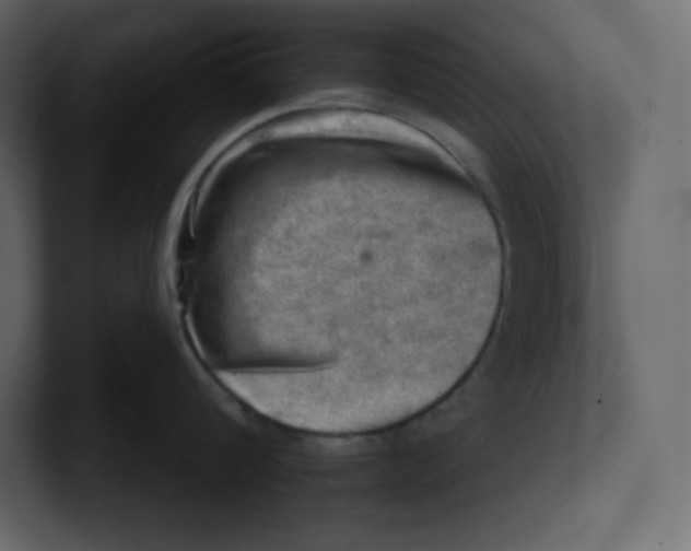 X0000100930816200807151243