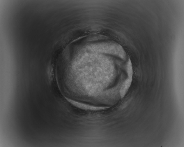 X0000100930818200807151242