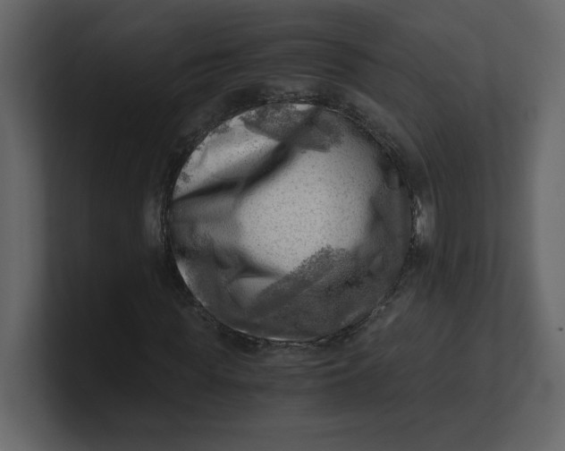 X0000100930819200807151242