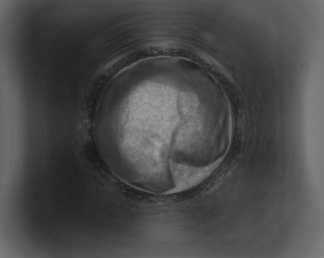 X0000100930822200807151242