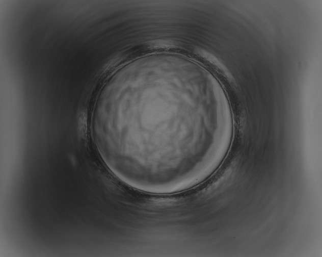 X0000100930825200807151242