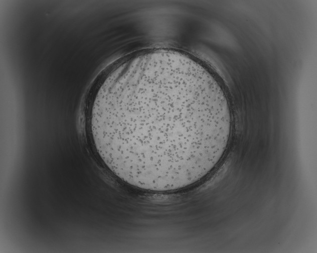 X0000100930827200807151242