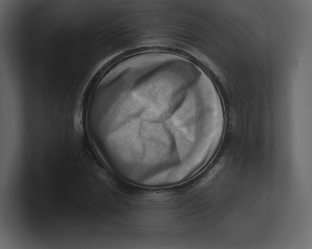 X0000100930830200807151242