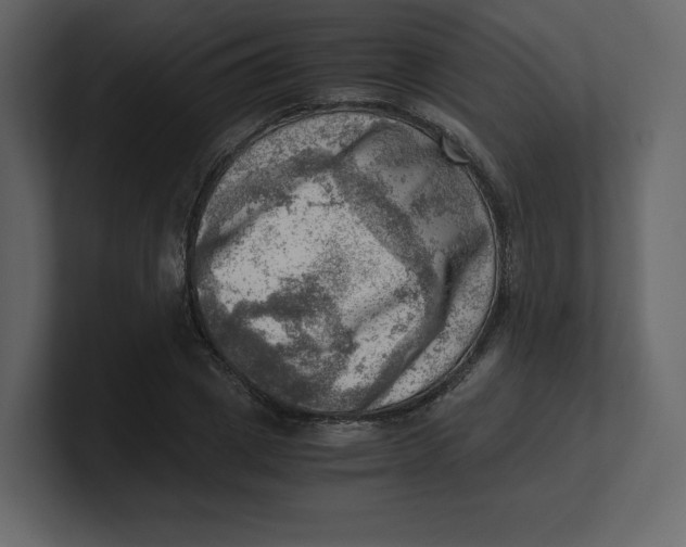 X0000100930833200807151242