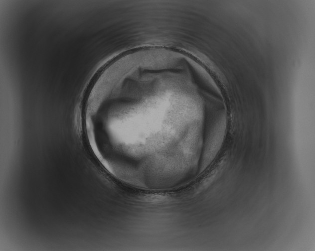 X0000100930838200807151242