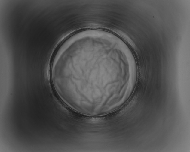 X0000100930839200807151242