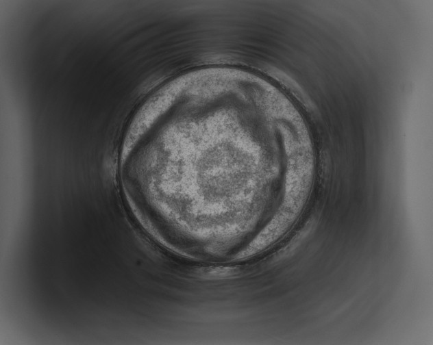 X0000100930841200807151242