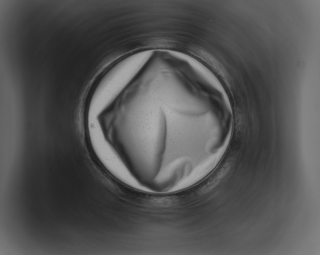 X0000100930843200807151242