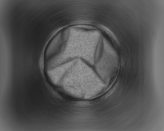 X0000100930844200807151242